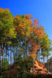 那不勒斯国米对决，谁将笑到最后？