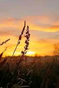 深圳男篮遭遇连败，失利于广州队