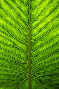 贝蒂斯抢占先机，成功反客为主