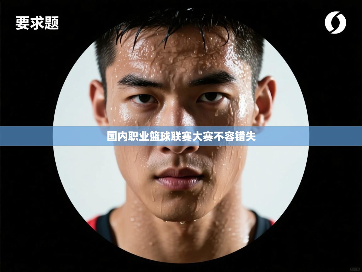 国内职业篮球联赛大赛不容错失 第1张