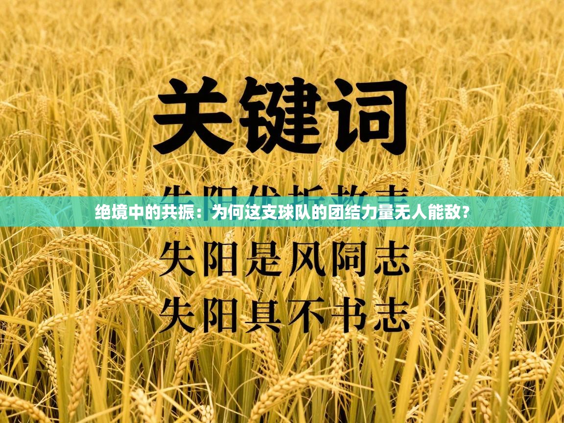 绝境中的共振：为何这支球队的团结力量无人能敌？  第2张