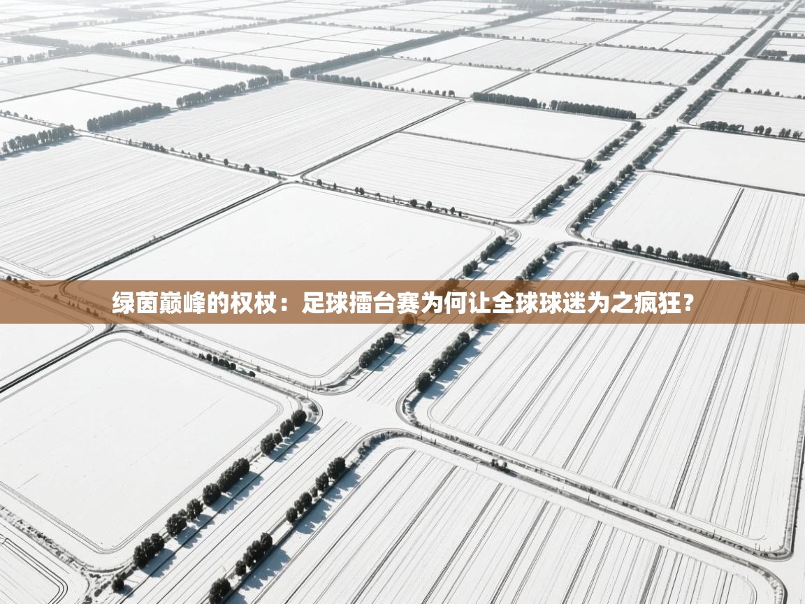 绿茵巅峰的权杖：足球擂台赛为何让全球球迷为之疯狂？  第1张