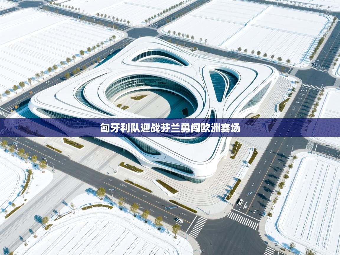 匈牙利队迎战芬兰勇闯欧洲赛场  第2张