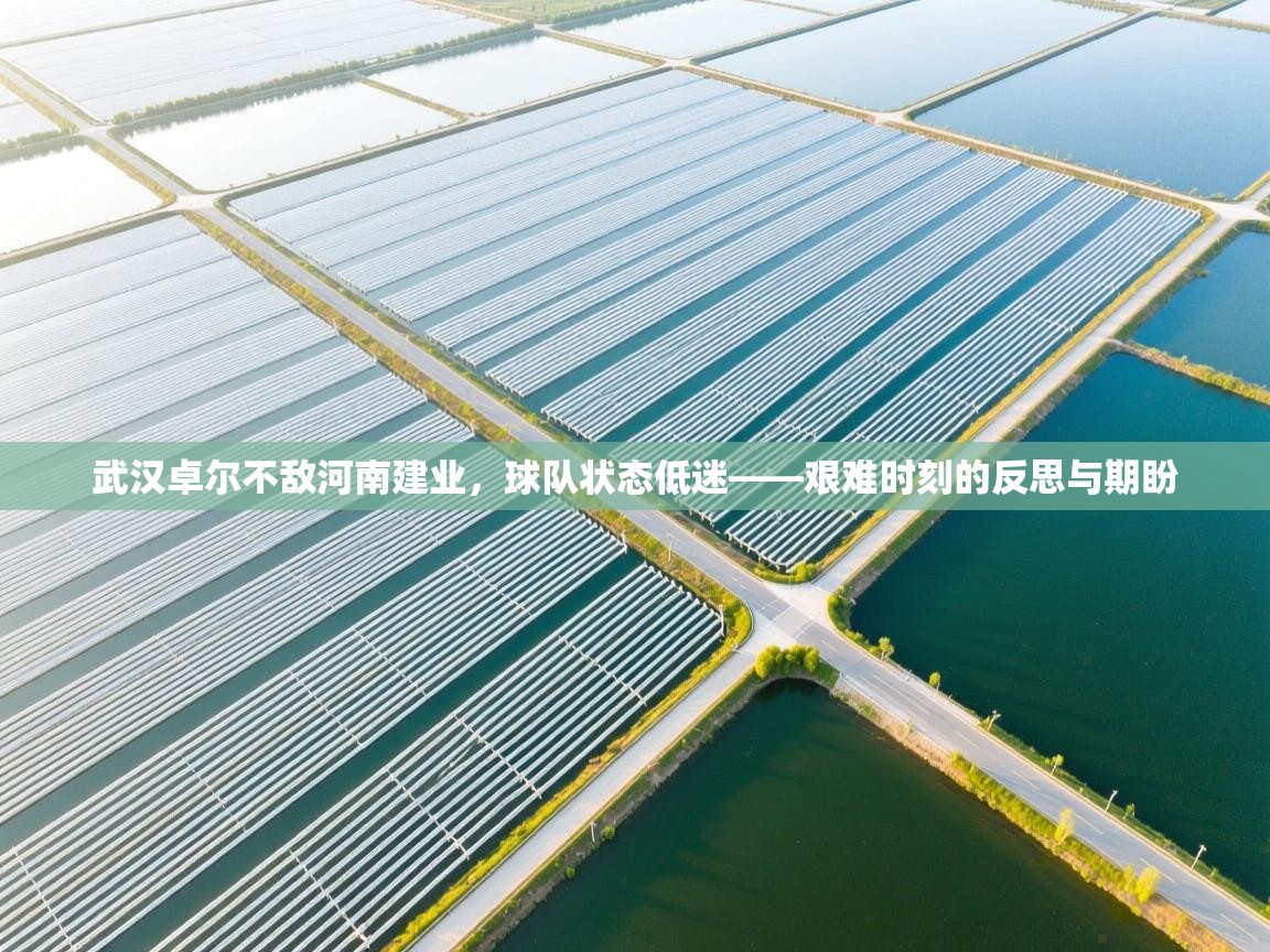 武汉卓尔不敌河南建业,球队状态低迷——艰难时刻的反思与期盼 第2张