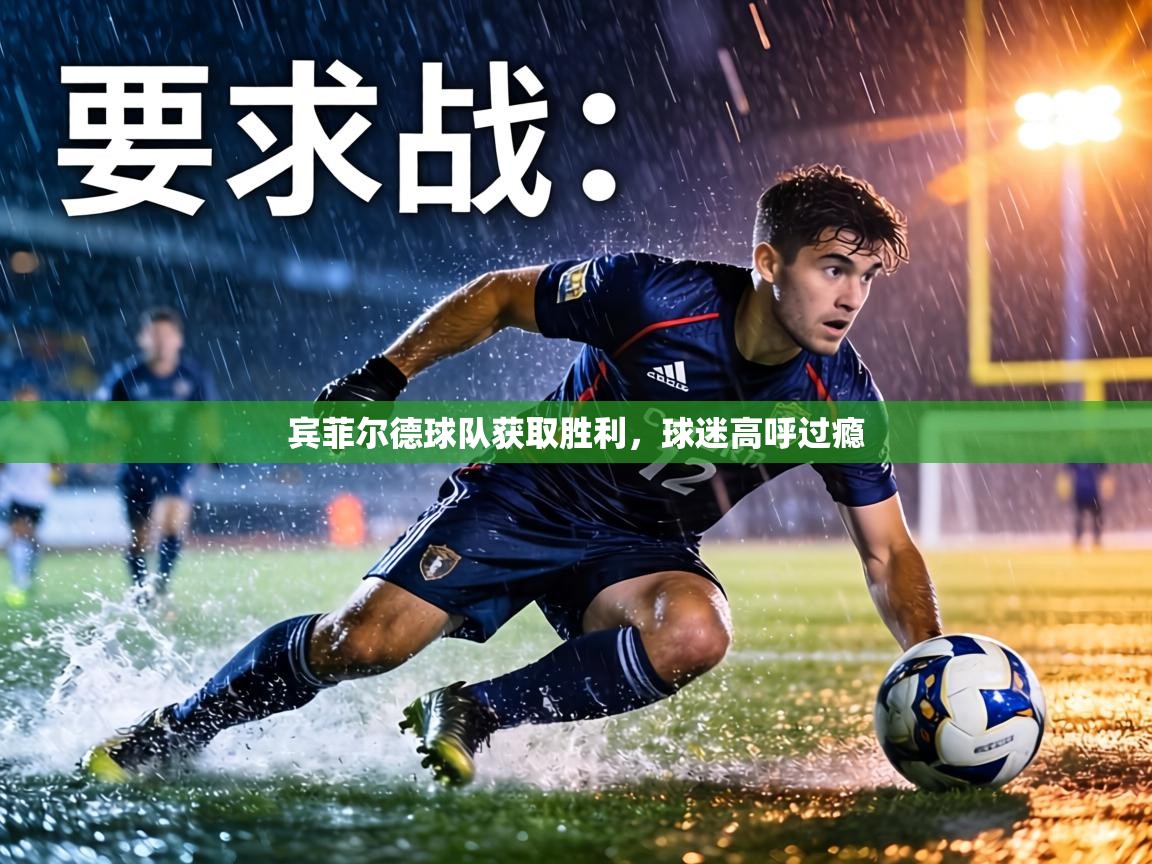 宾菲尔德球队获取胜利,球迷高呼过瘾 第2张