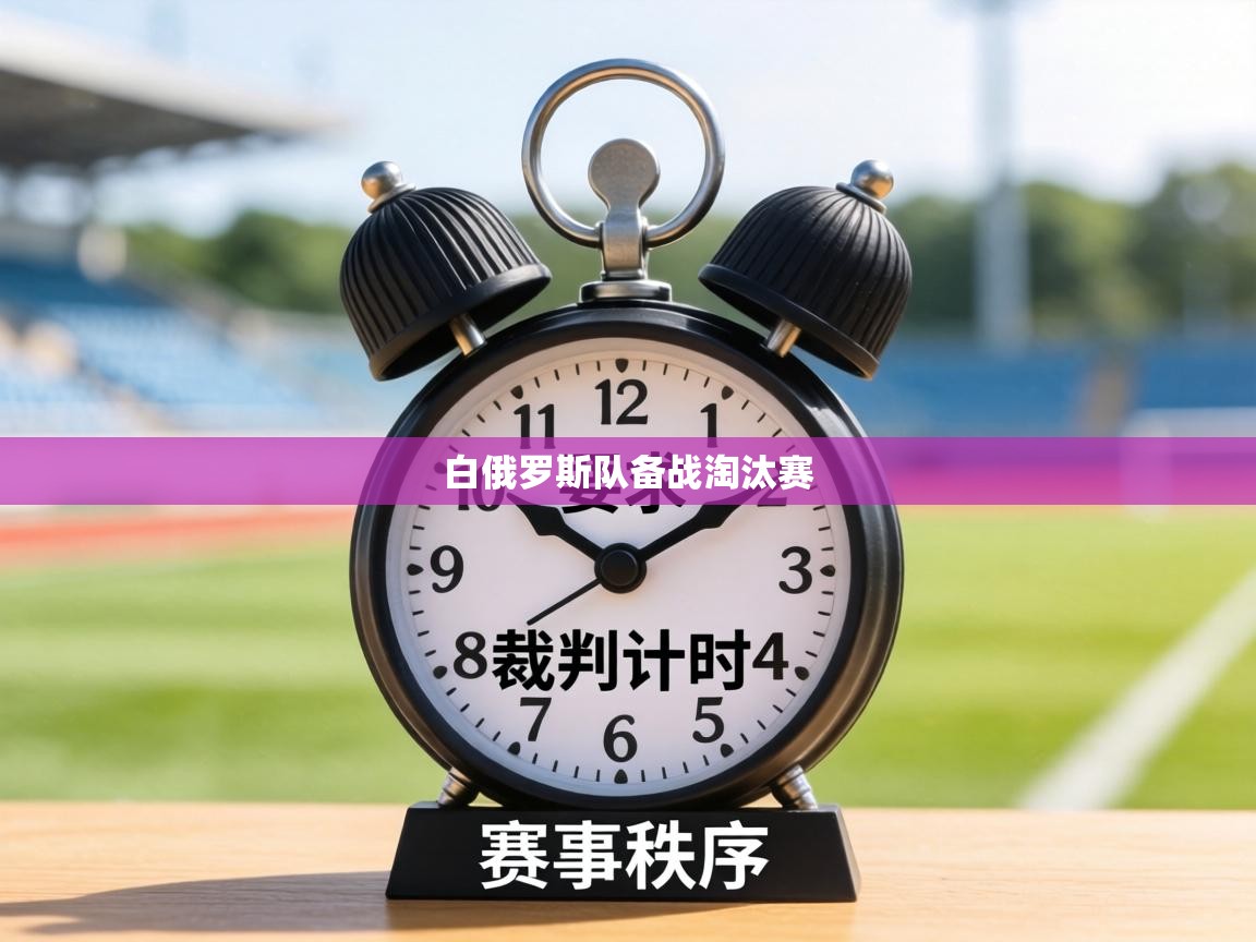 白俄罗斯队备战淘汰赛 第1张